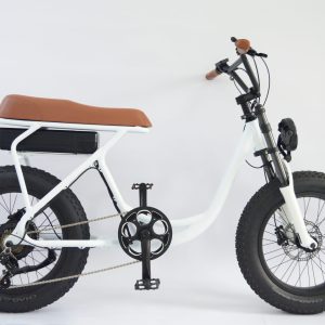 DSC_0210 FT8 20” Fat Tire E-Bike 6061 Alloy Low-step frame Dual suspension Fork 48V 500W Rear Hub MotorMax Speed ST 25km/h ,Adjustment MAX 45km/h