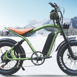 wechat_2025-10-31_165832_633 High-end lithium electric bicycle series Torque city car Easy long bike rides and steep roads 500W ,A variety of styles, a variety of configurations, a variety of power range to choose from